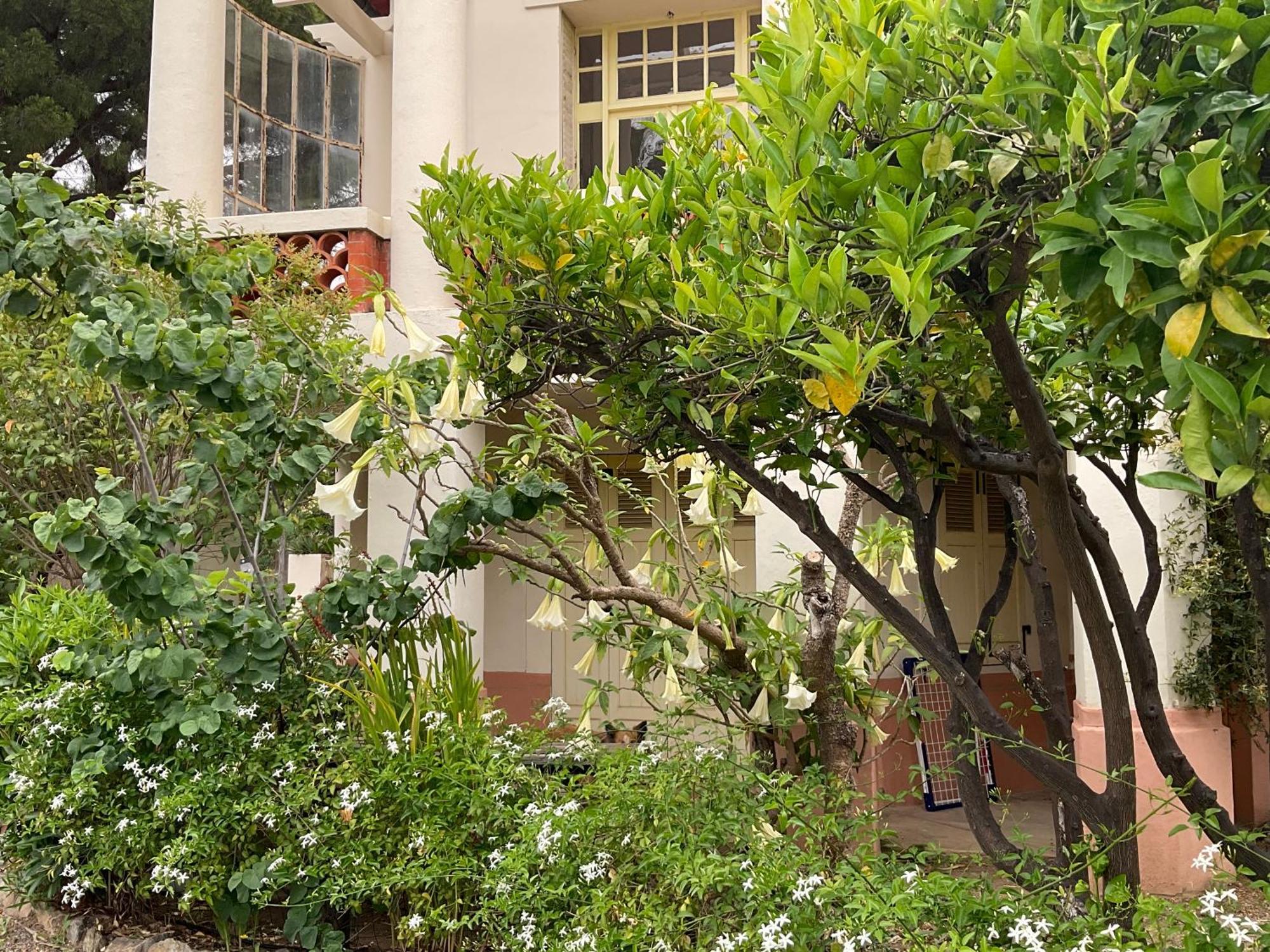 Villa La Provence อิแยร์ ภายนอก รูปภาพ