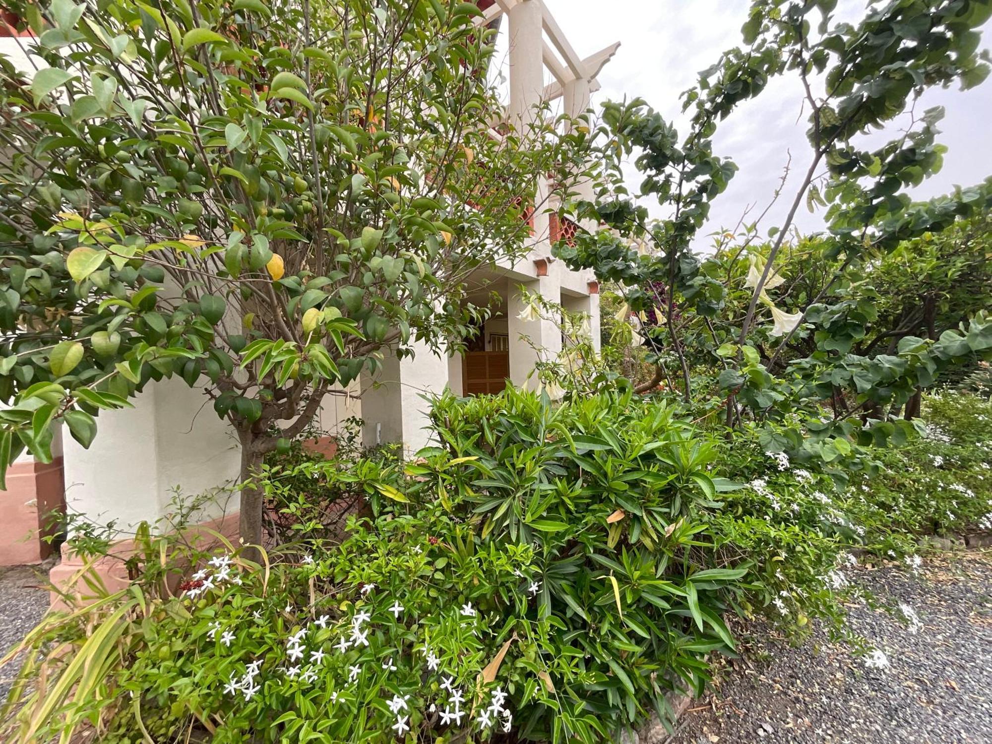 Villa La Provence อิแยร์ ภายนอก รูปภาพ