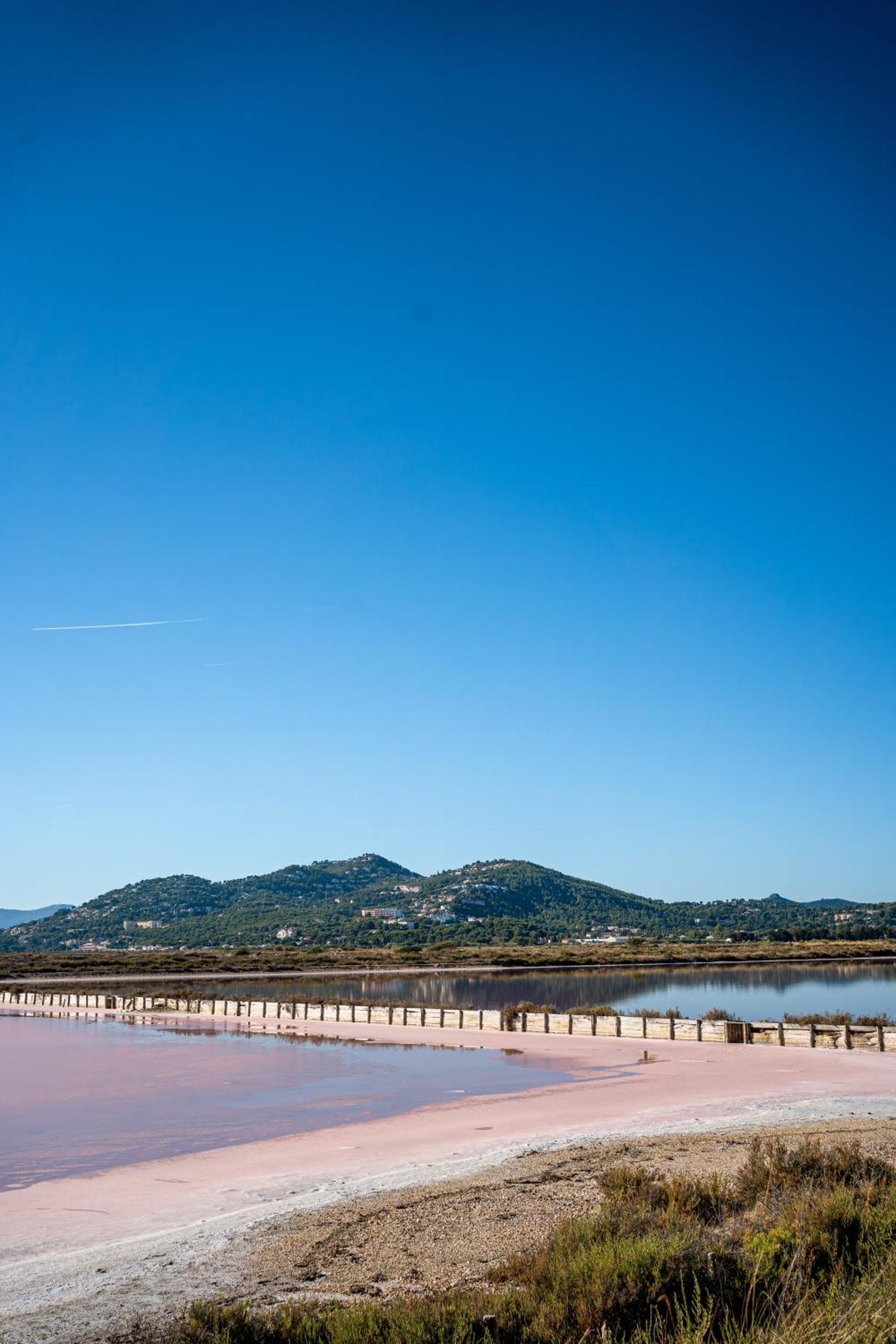Villa La Provence อิแยร์ ภายนอก รูปภาพ